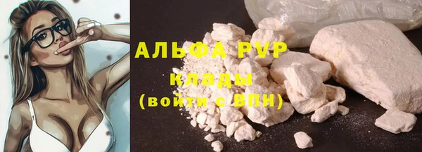 ECSTASY Армянск