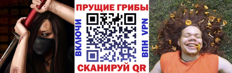 Псилоцибиновые грибы MAGIC MUSHROOMS  kraken ССЫЛКА  Лихославль 